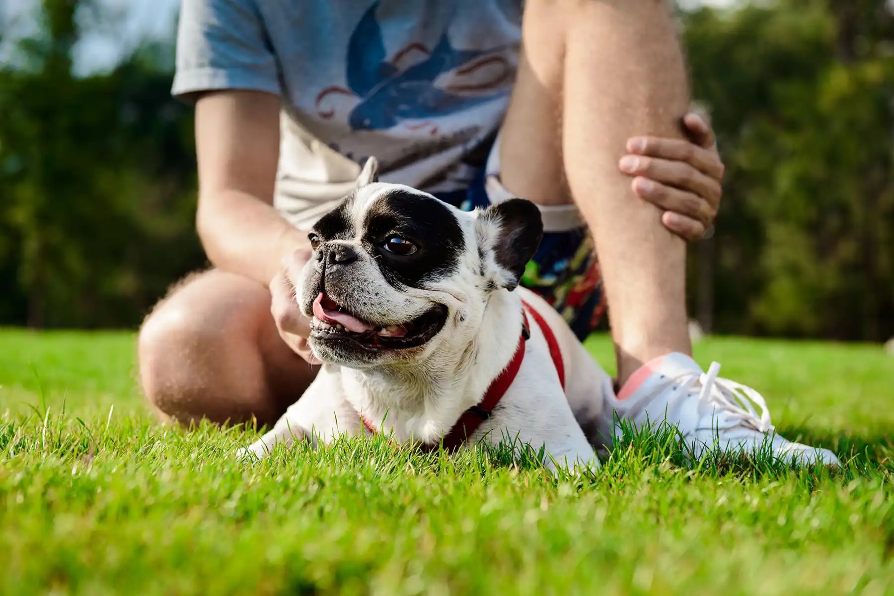 Choose animals as your subject for a fun spring photo opportunity