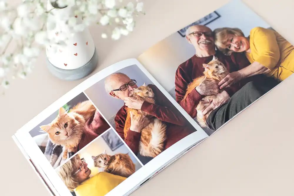 Your-furry-friends-are-worth-celebrating-too