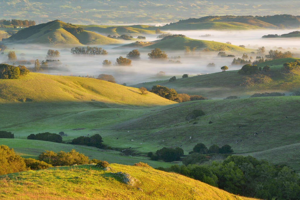 Michael Ryan's photo of mountains