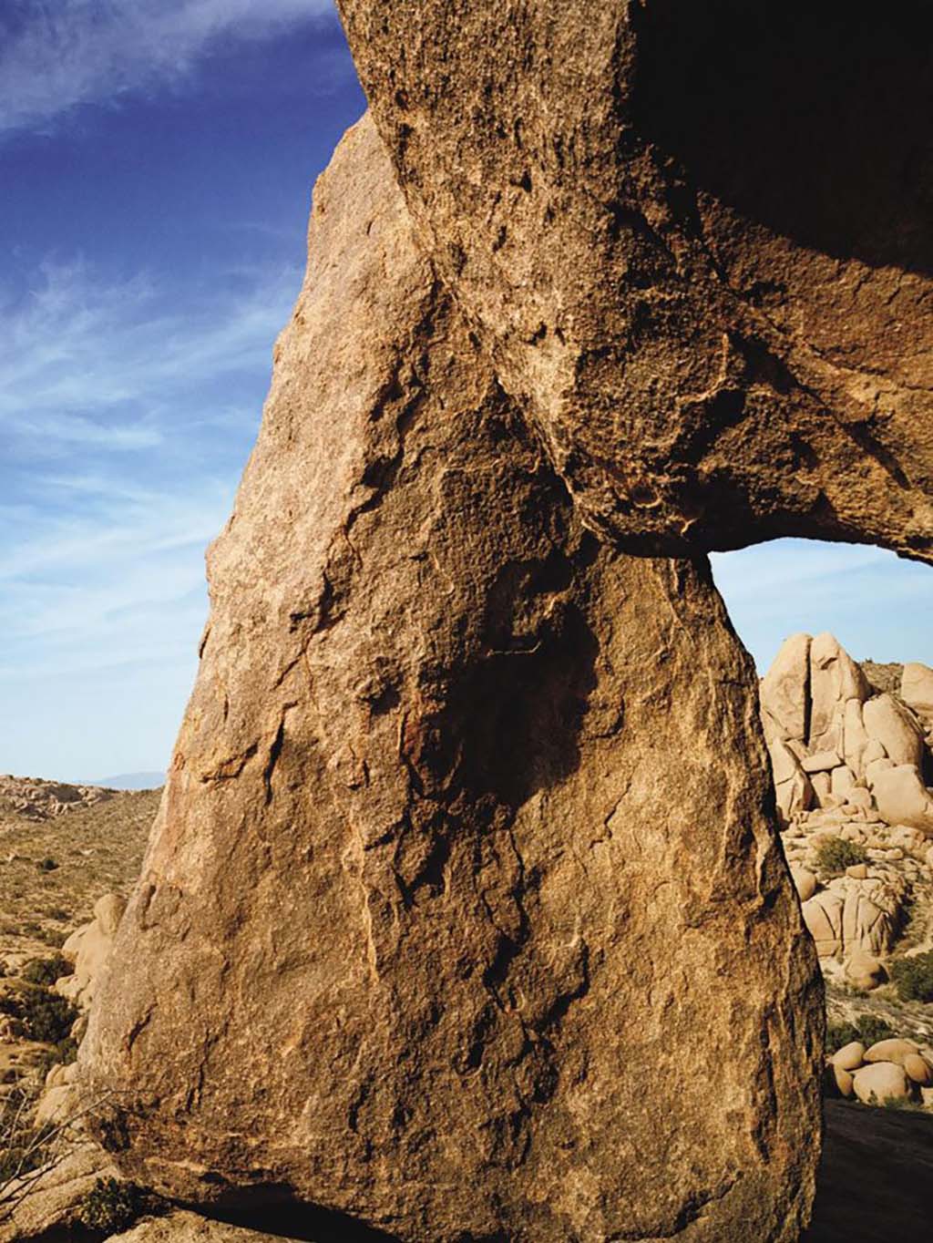 Nigel Barker Photography presents Escape in Joshua Tree