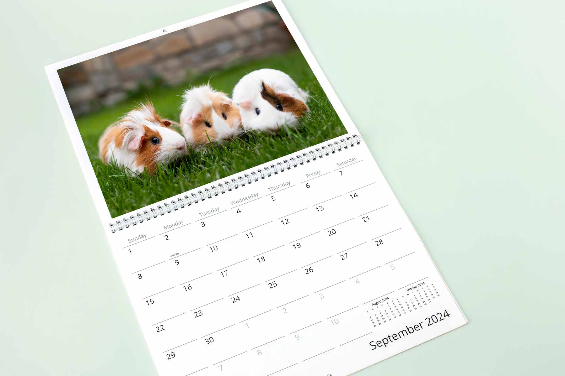 Photo calendar showing three guinea pigs