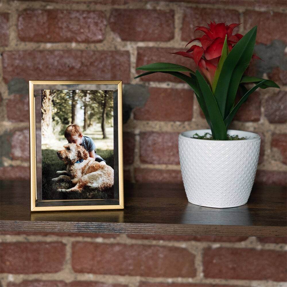 gold picture frame of little boy with his dog