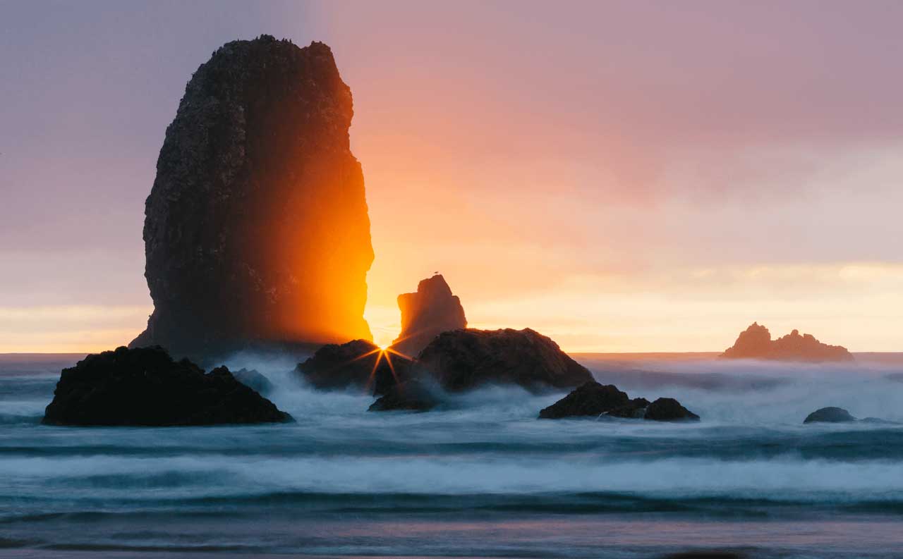 sun star at the beach between rocks