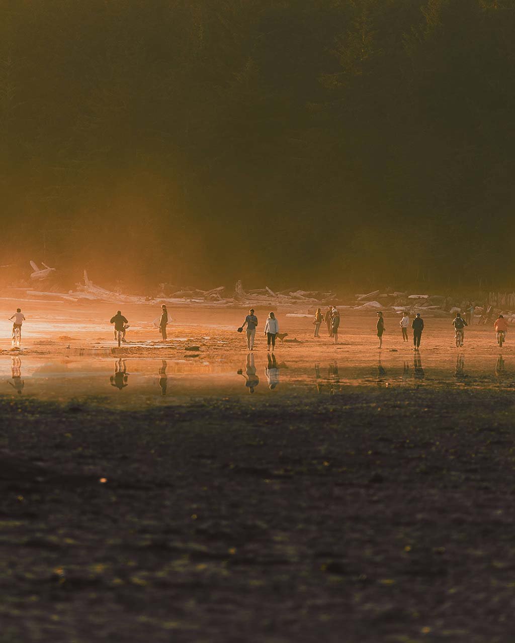 people in the distance walking along the beach