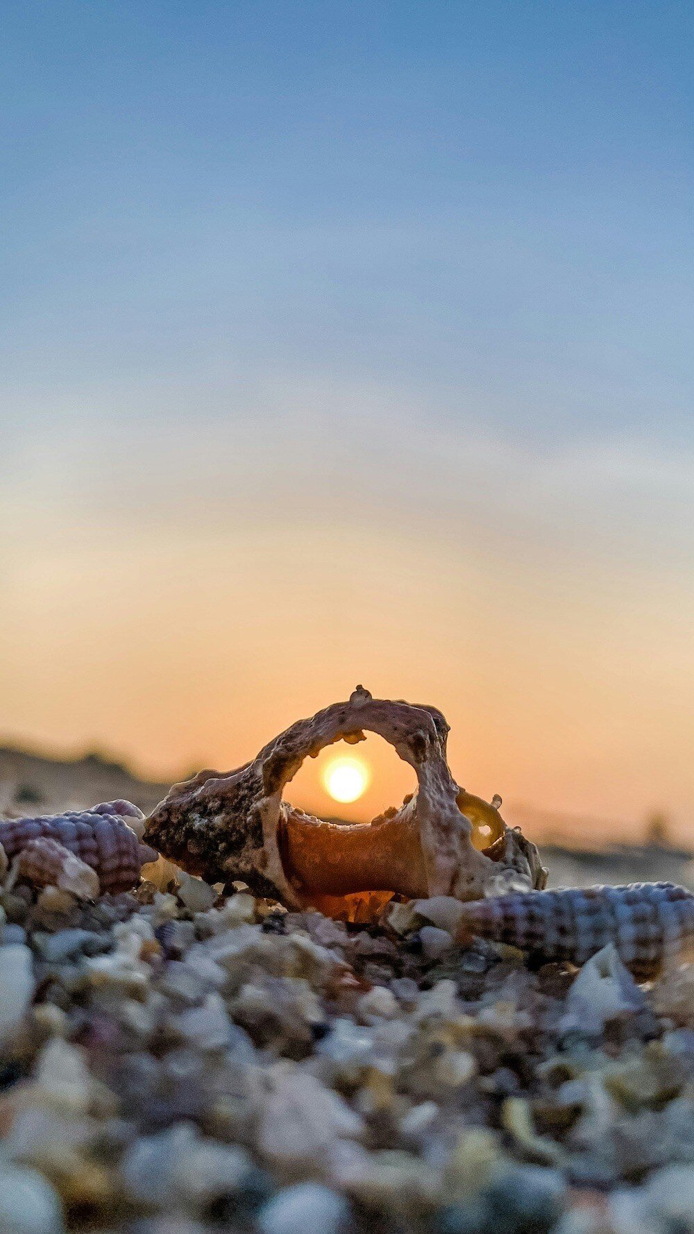 Select a focal point, like a shell or beach chair, when improving your beach photography